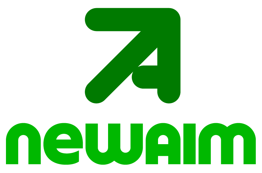 Dev - New Aim